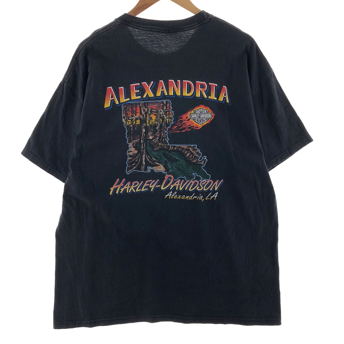 古着 00年代 ハーレーダビッドソン Harley-Davidson モーターサイクル バイクTシャツ メンズXL /eaa390128_画像2