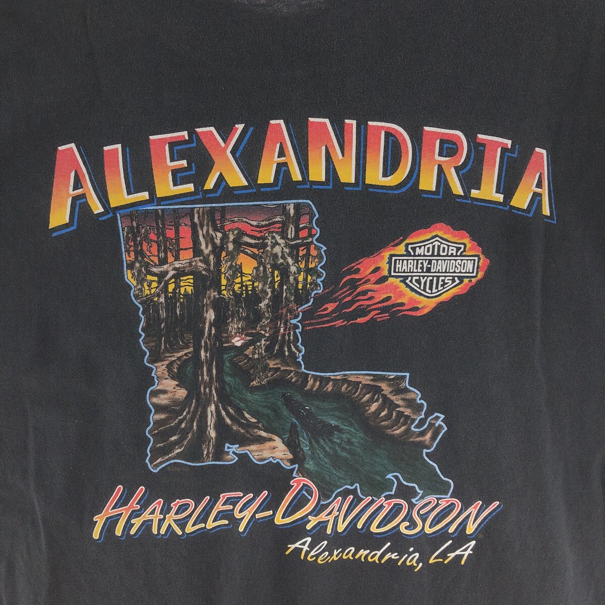 古着 00年代 ハーレーダビッドソン Harley-Davidson モーターサイクル バイクTシャツ メンズXL /eaa390128_画像5