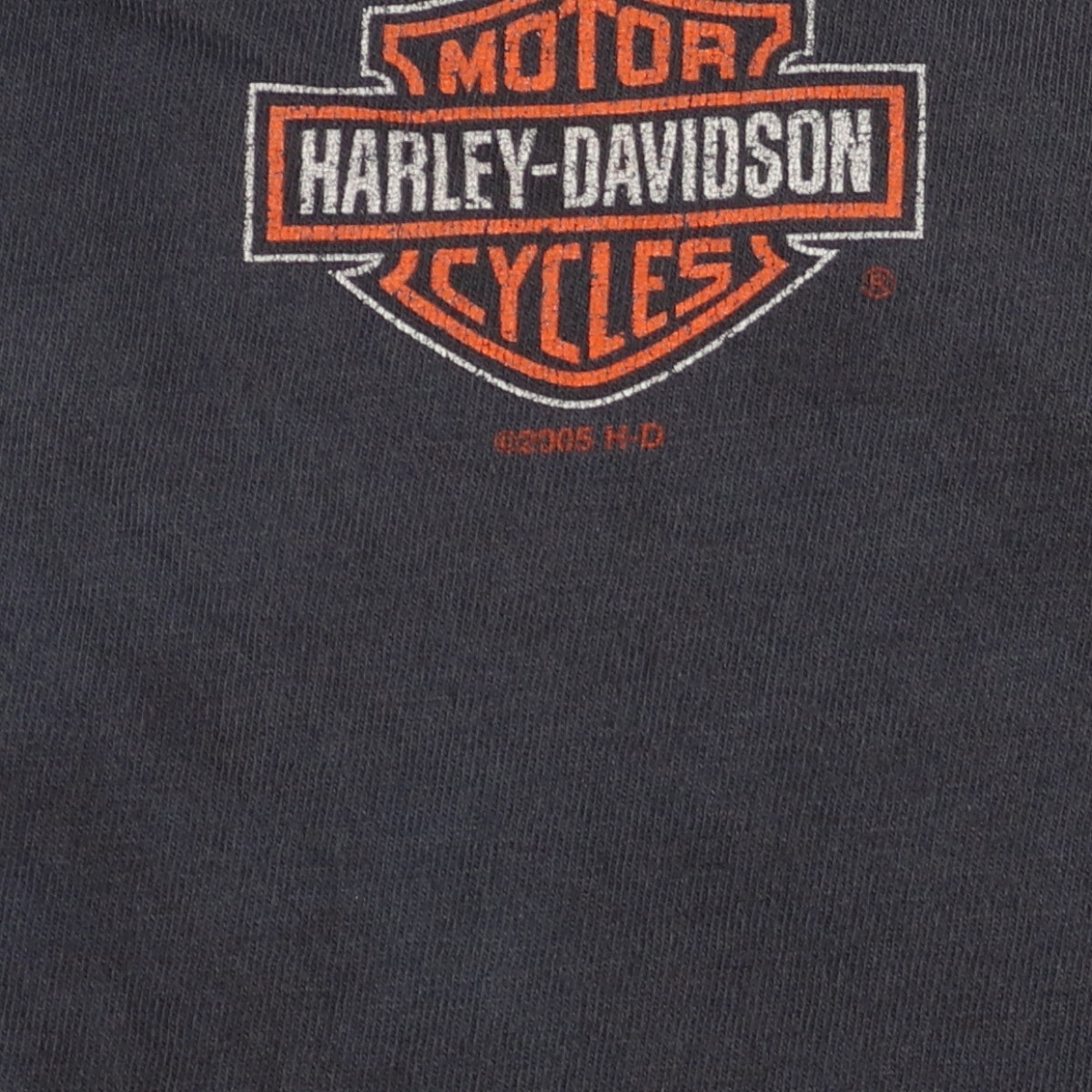 古着 ハーレーダビッドソン Harley-Davidson モーターサイクル バイクTシャツ USA製 メンズL /eaa445309_画像5