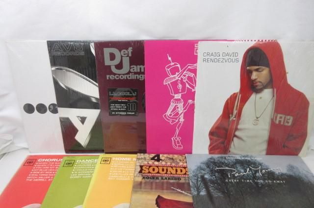 【同梱可】中古品 アーティスト LPレコード CRAIG DAVID Paul Young 等 10枚 グッズセット_画像2