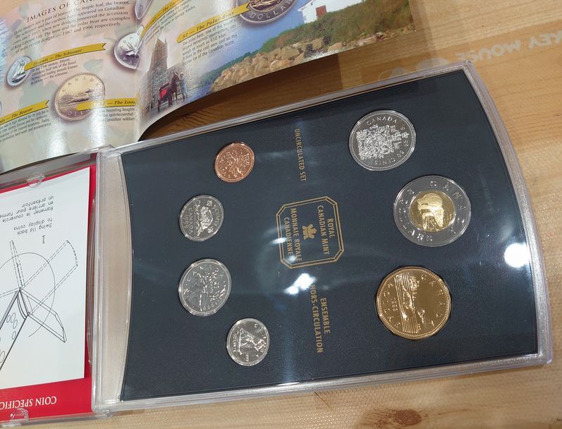 〇未使用品 1999年 カナダ CANADA 記念コイン 記念硬貨 ケース付き 人気の画像3
