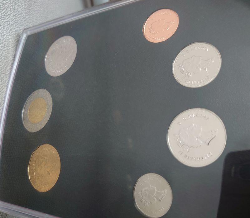 〇未使用品 1999年 カナダ CANADA 記念コイン 記念硬貨 ケース付き 人気の画像4