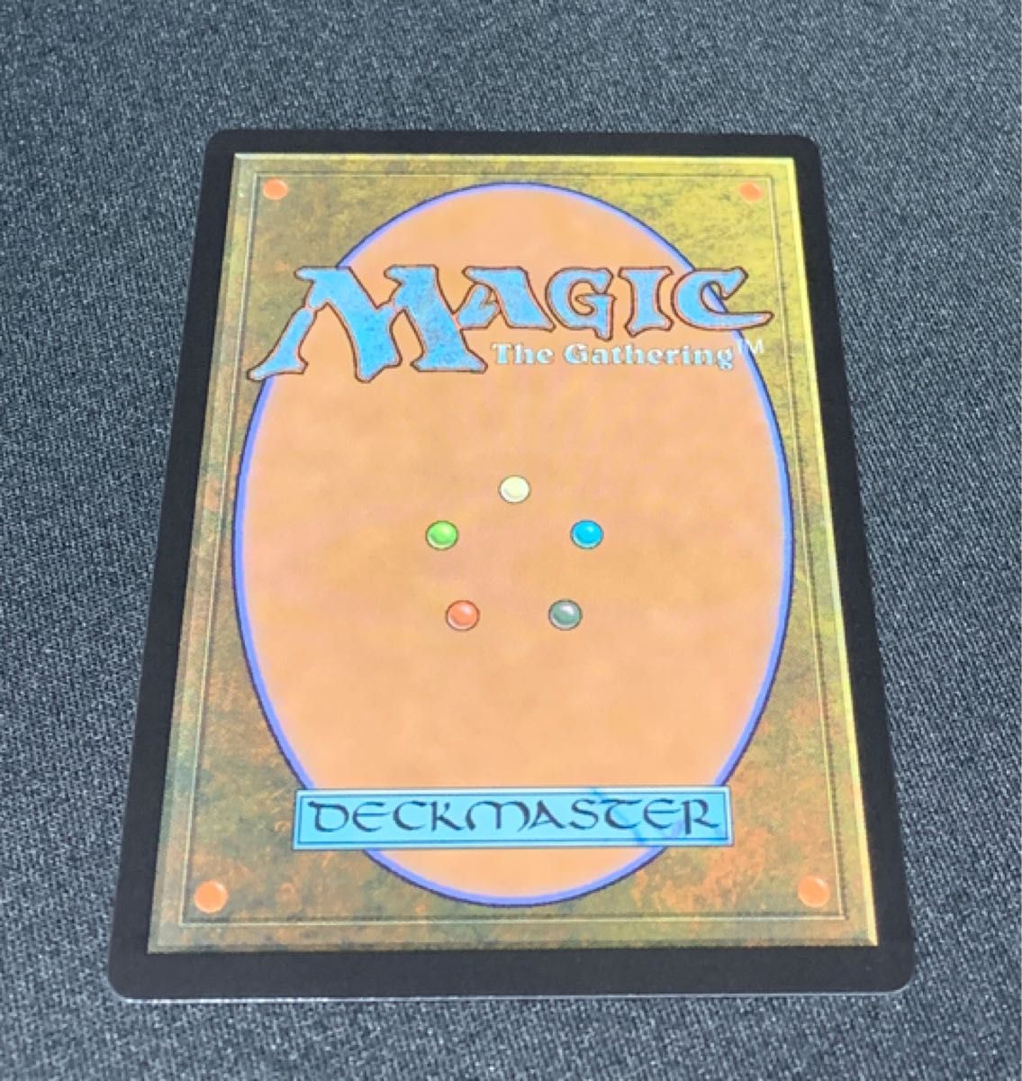 マジック：ザギャザリング MTG エルドレインの森 Foil  * 探索するドルイド