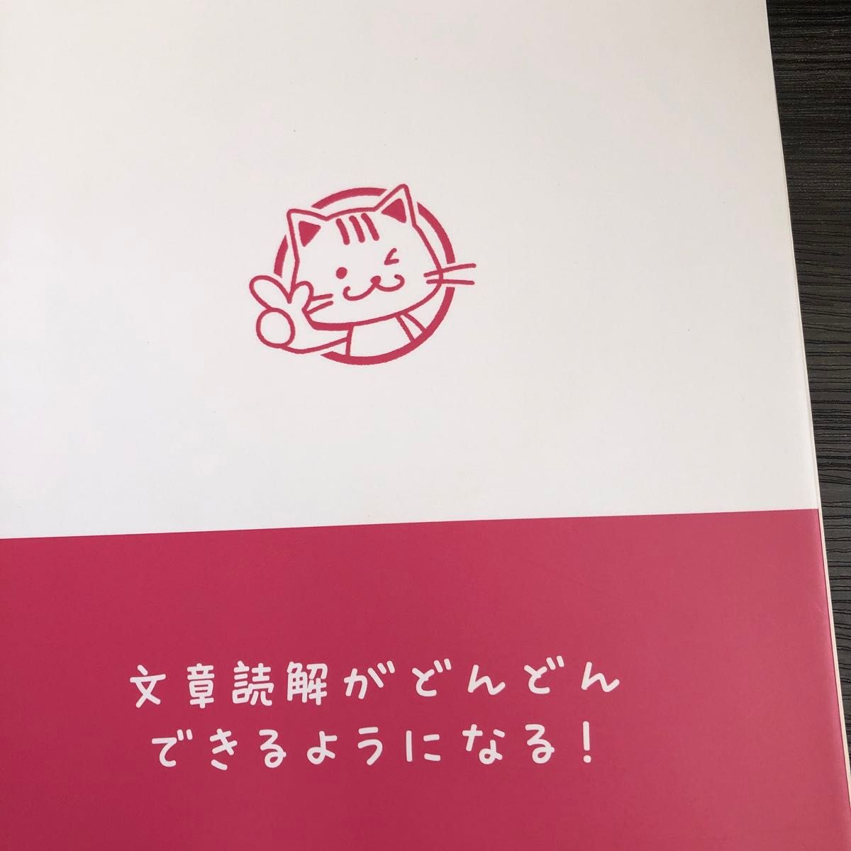 ホントにわかる 中１からの国語 文章読解 ひとつずつすこしずつ／教育