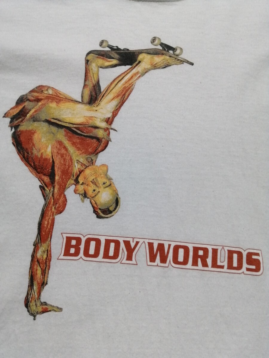 断捨離!レア物多数出品中! Y2kビンテージ『Body Worlds 人体の世界 人体の不思議展 アナトミー アート プロモ Tシャツ』_画像2