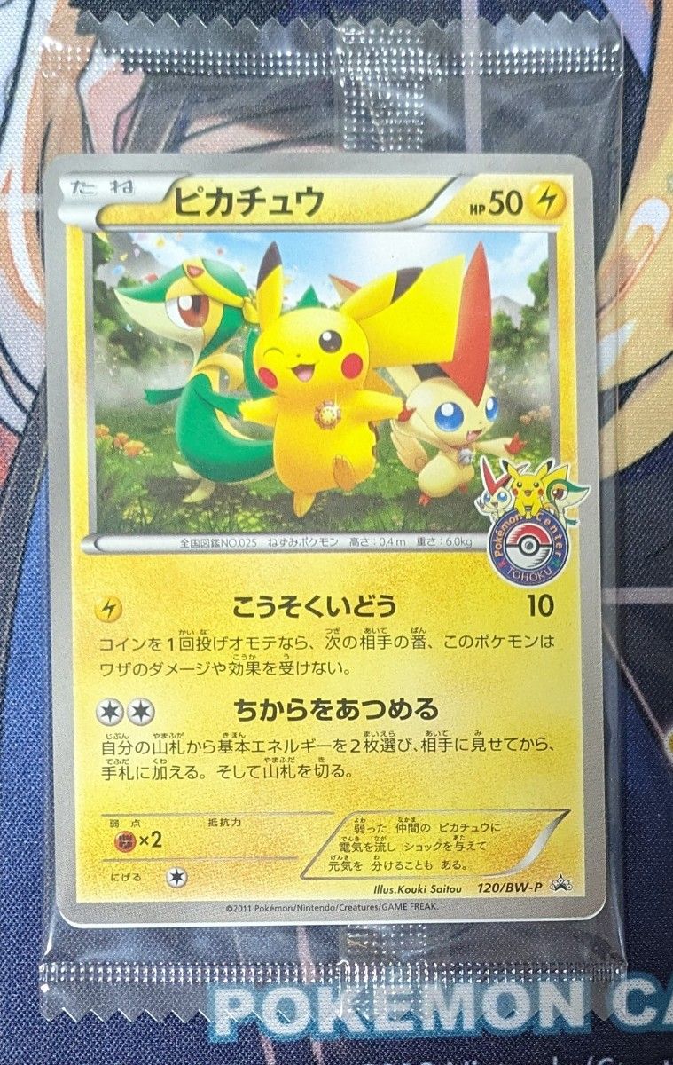 ポケモンカード ピカチュウ 120/BW-P プロモ ポケモンセンター PROMO 未開封