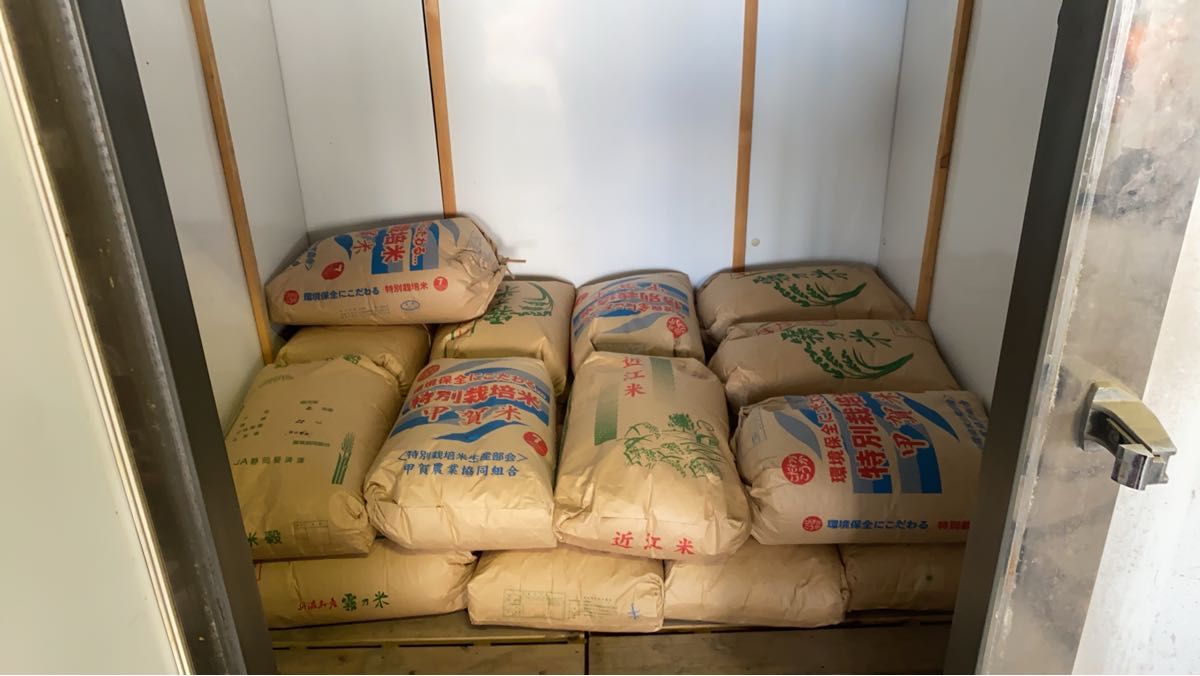 生活応援米　新米古米ブレンド米　玄米10キロ