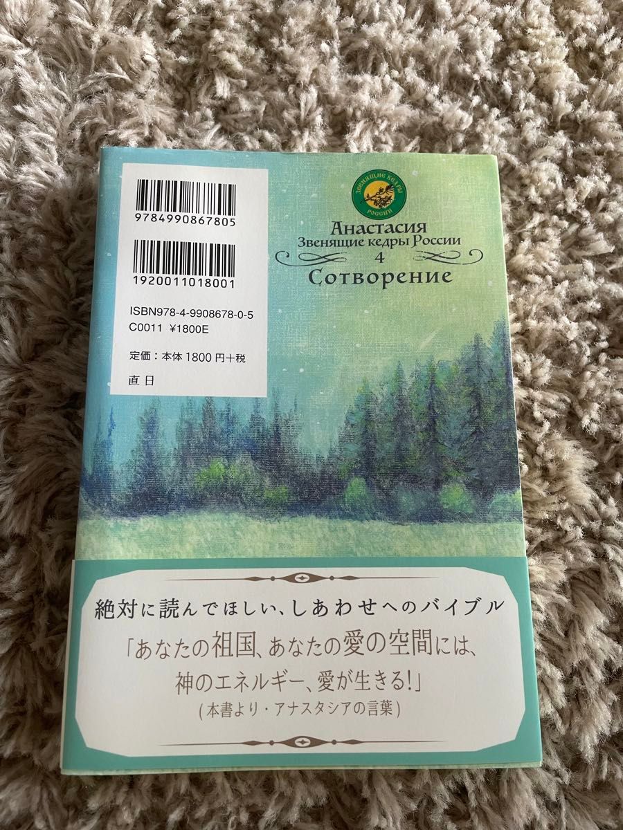 共同の創造 （アナスタシア　ロシアの響きわたる杉シリーズ　４巻） （改訂版） ウラジーミル・メグレ／著　にしやまやすよ／訳