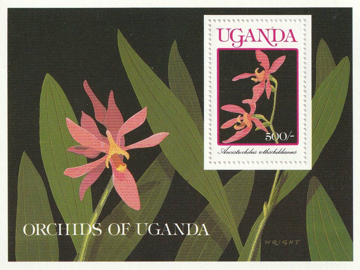 （ウガンダ）1989年蘭の花小型シート、スコット評価6.75ドル（海外より発送、説明欄参照）_画像1