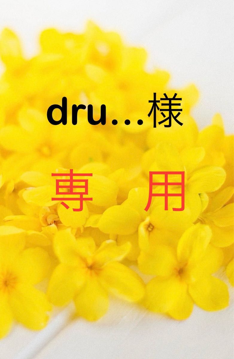 dru…様専用　レターパックライト４０枚　【新品未使用】送料無料