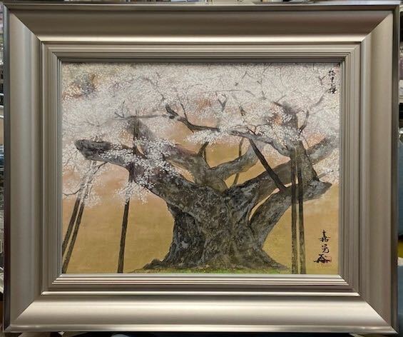 Yahoo!オークション - 真作保証 伊藤嘉晃 【淡墨桜】 樹齢1500年 Yahoo!オークション - 真作保証 伊藤嘉晃 【淡墨桜】 樹齢1500年