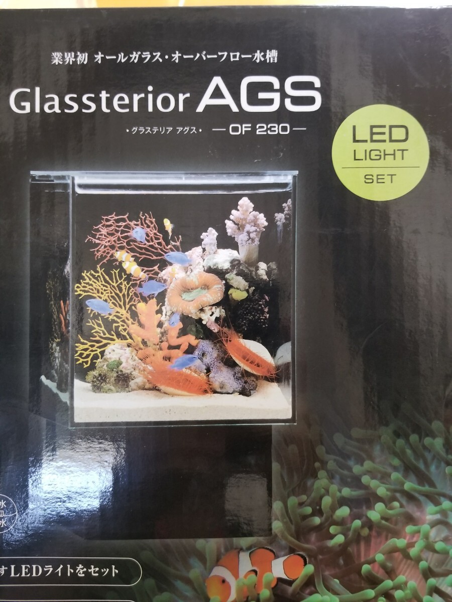 [GW распродажа 1 иен старт!] переполнение аквариум [ стакан терьер AGS OF230] маленький размер. все стекло переполнение аквариум! 23×24×36h(.) аквариум 