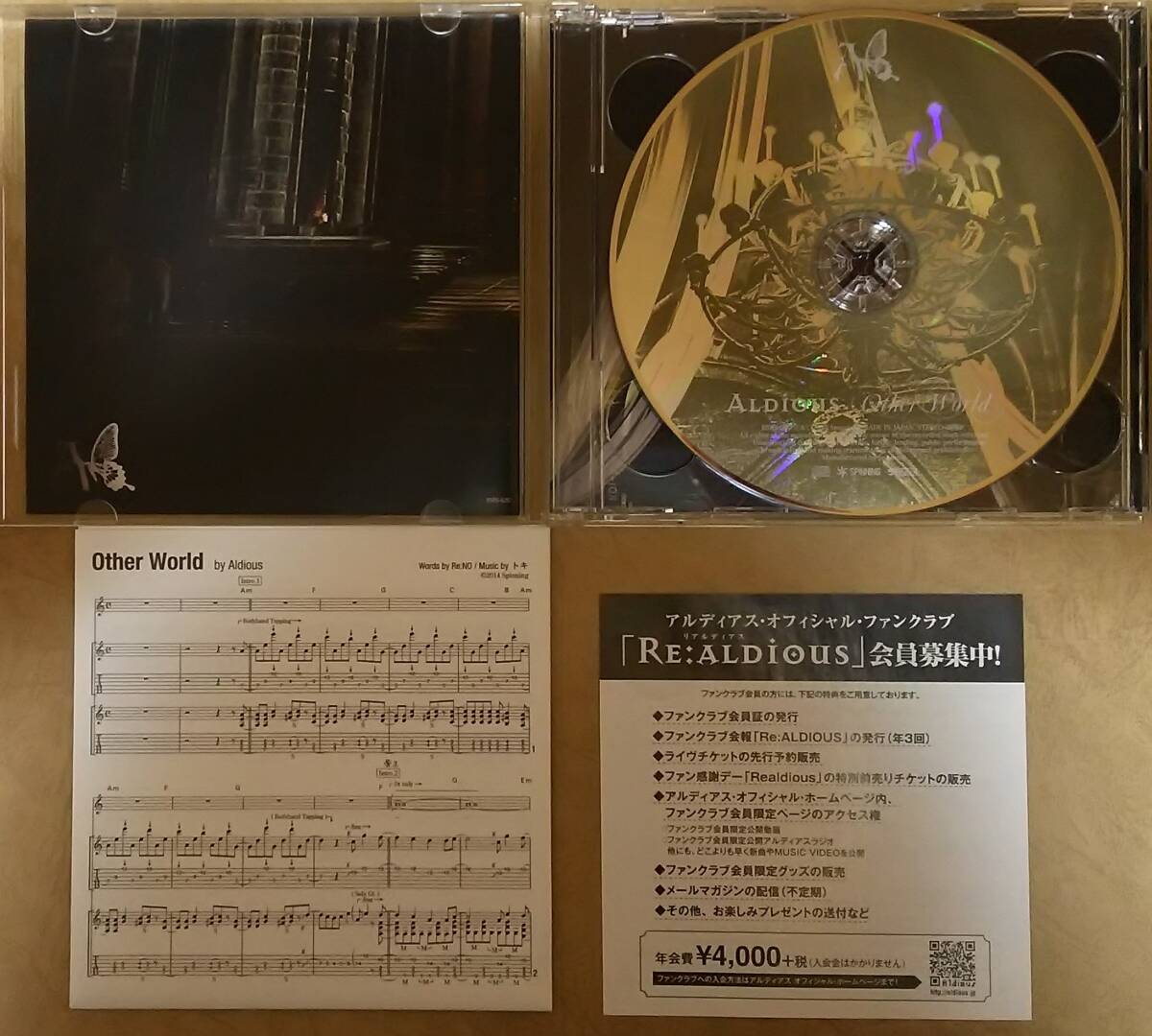 【HM/HR】 ※初回限定盤A　アルディアス (ALDIOUS) / アザー・ワールド (OTHER WORLD)　CD+DVD　ジャパメタ/嬢メタル/ガールズ・メタル_画像3