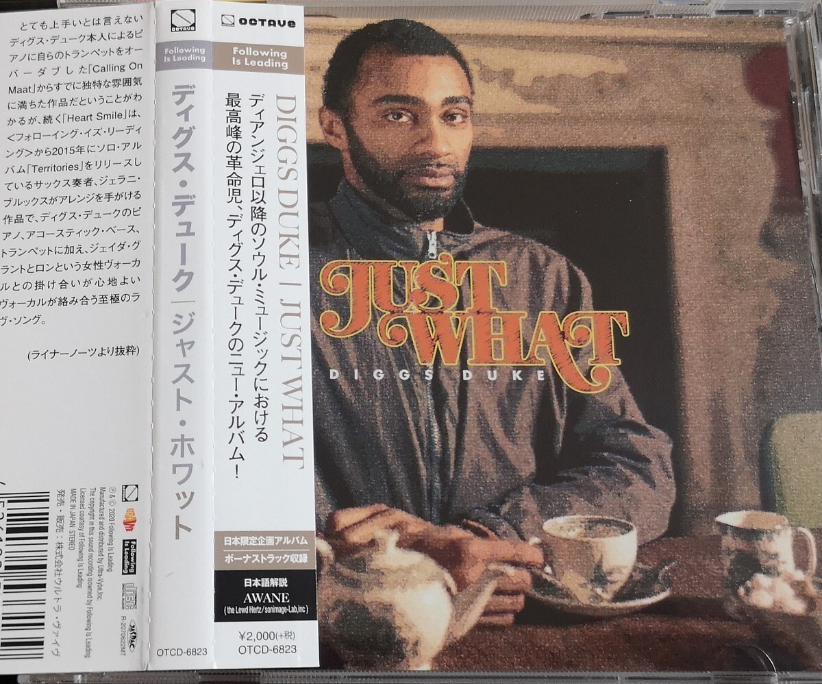 【DIGGS DUKE/JUST WHAT】 国内ボーナストラック収録/BONUS TRACK/ディグス・デューク/国内CD・帯付_画像1