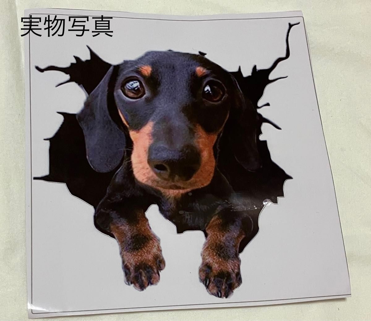 ミニチュアダックスフント キュート カーステッカー 犬 3D シール 傷隠し 壁紙 防水 ステッカー 犬 面白い