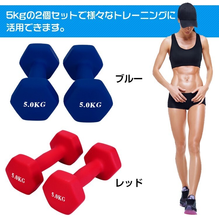 送料無料 ダンベル 5kg 2個セット カラーダンベル トレーニング 筋力 筋肉 男性 女性 鉄アレイ エクササイズ ダイエット 負荷 de094の画像6