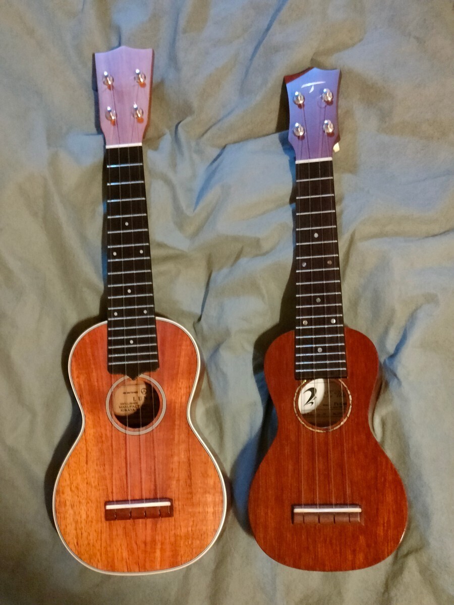 希少●T's Ukulele ティーズウクレレ baby-u M 美品 ベビーサイズ 専用ハードケース付き 2005年製_ソプラノサイズとの比較参考