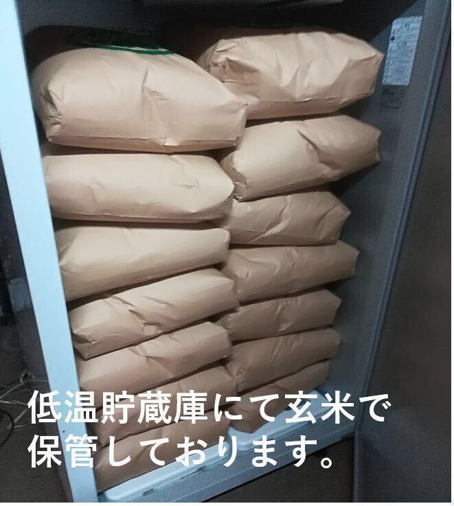 広島県 世羅郡産 新米 令和5年産 あきさかり25kg 送料無料、（一部例外地域あります）の画像2