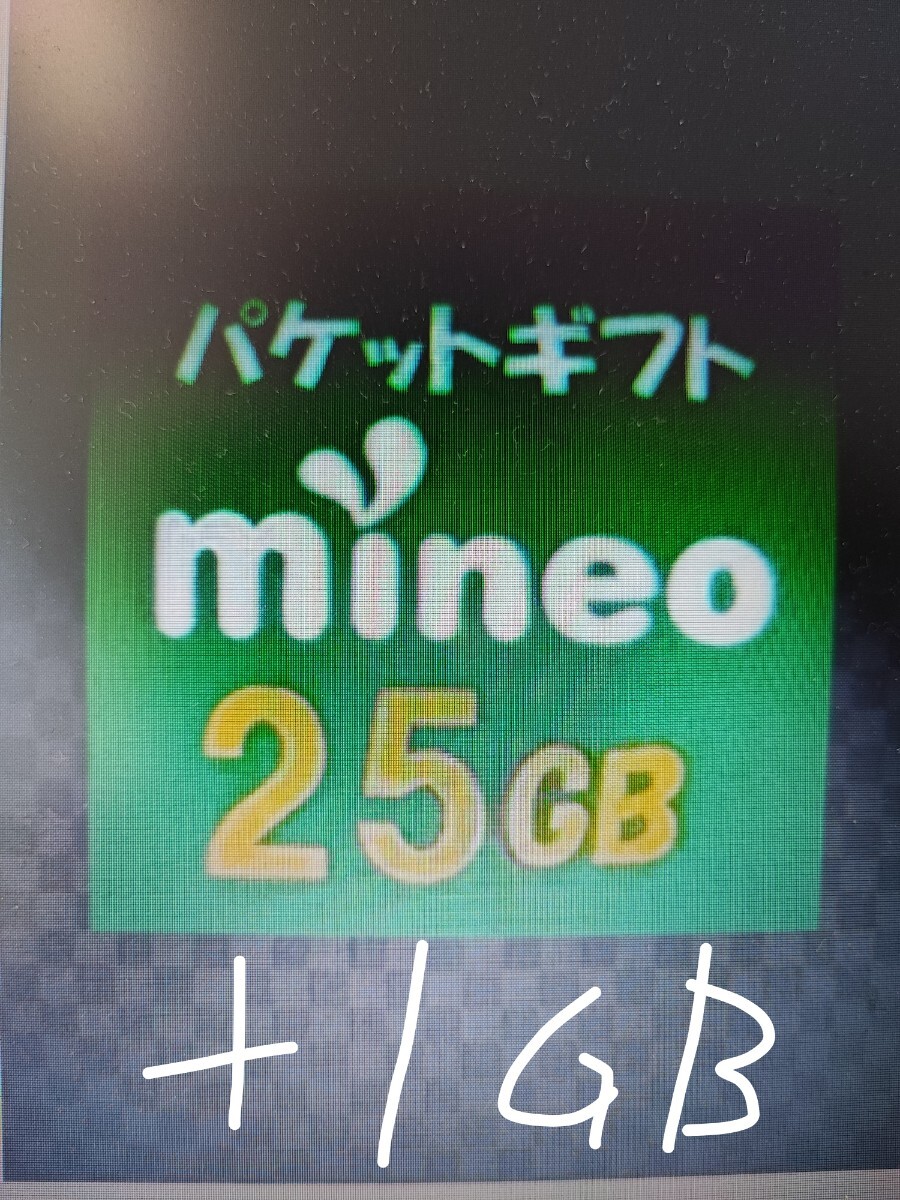 マイネオ mineo　パケットギフト25GB＋1GB。9999MBを2口と6002MBを1口です。_画像1