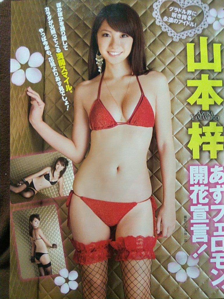 月刊エンタメ 2011年5月号 小嶋陽菜 吉木りさ 山本梓 原幹恵 西田麻衣 愛衣 佐山彩香 松井玲奈 4大実物大ポスター(未開封)付き_画像6