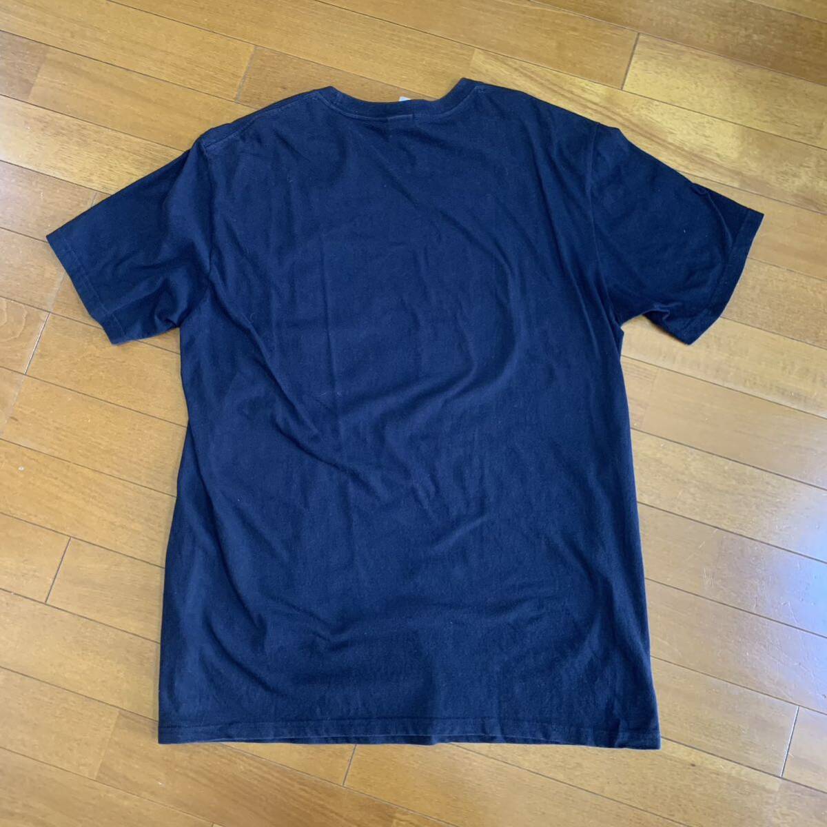 THE NORTH FACE supreme フォトプリント 半袖Ｔシャツ_画像3