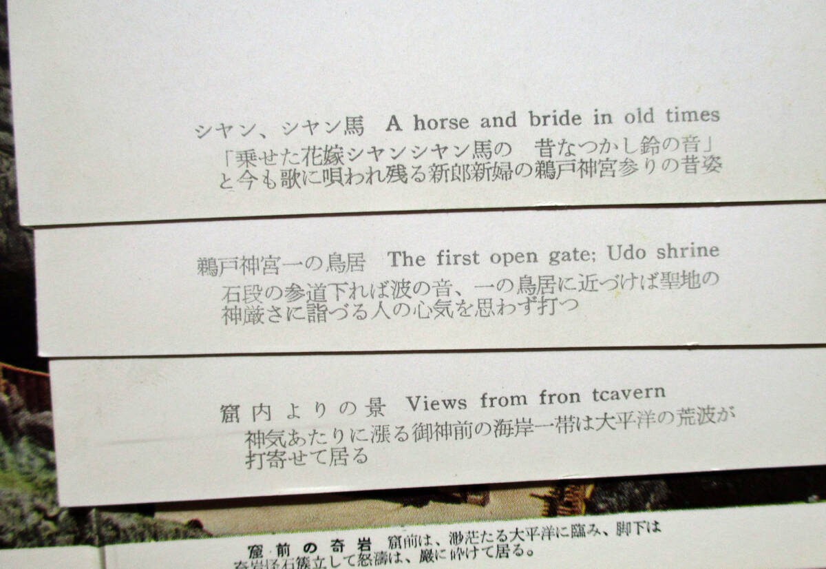 【絵葉書●鵜戸 乗せた花嫁シャンシャン馬・玉橋、他●】_画像7