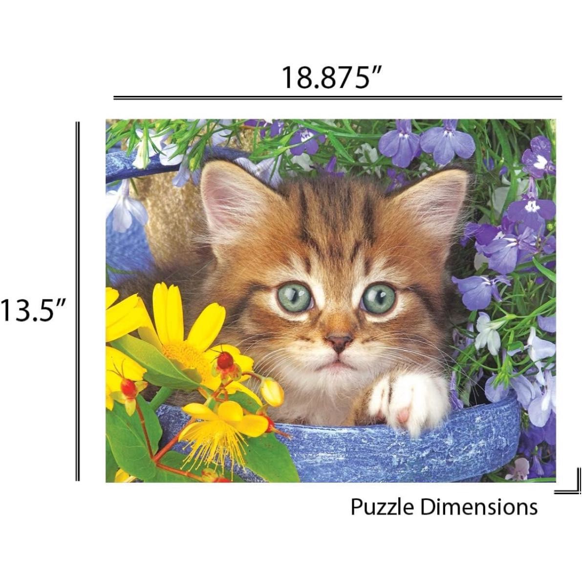 Springbok's 100ピース 子供用ジグソーパズル ガーデンヘルパー 猫 パズル