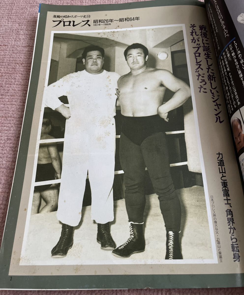 激動の昭和スポーツ史⑩ プロレス_画像3