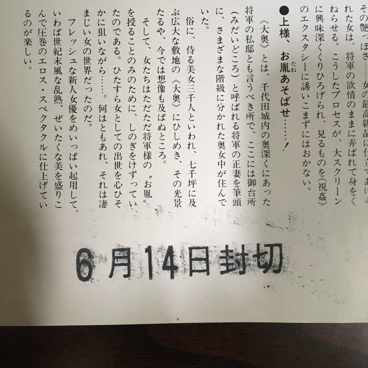 映画チラシ「大奥十八景」 鈴木則文監督 辻沢杏子/伊織祐未_画像3