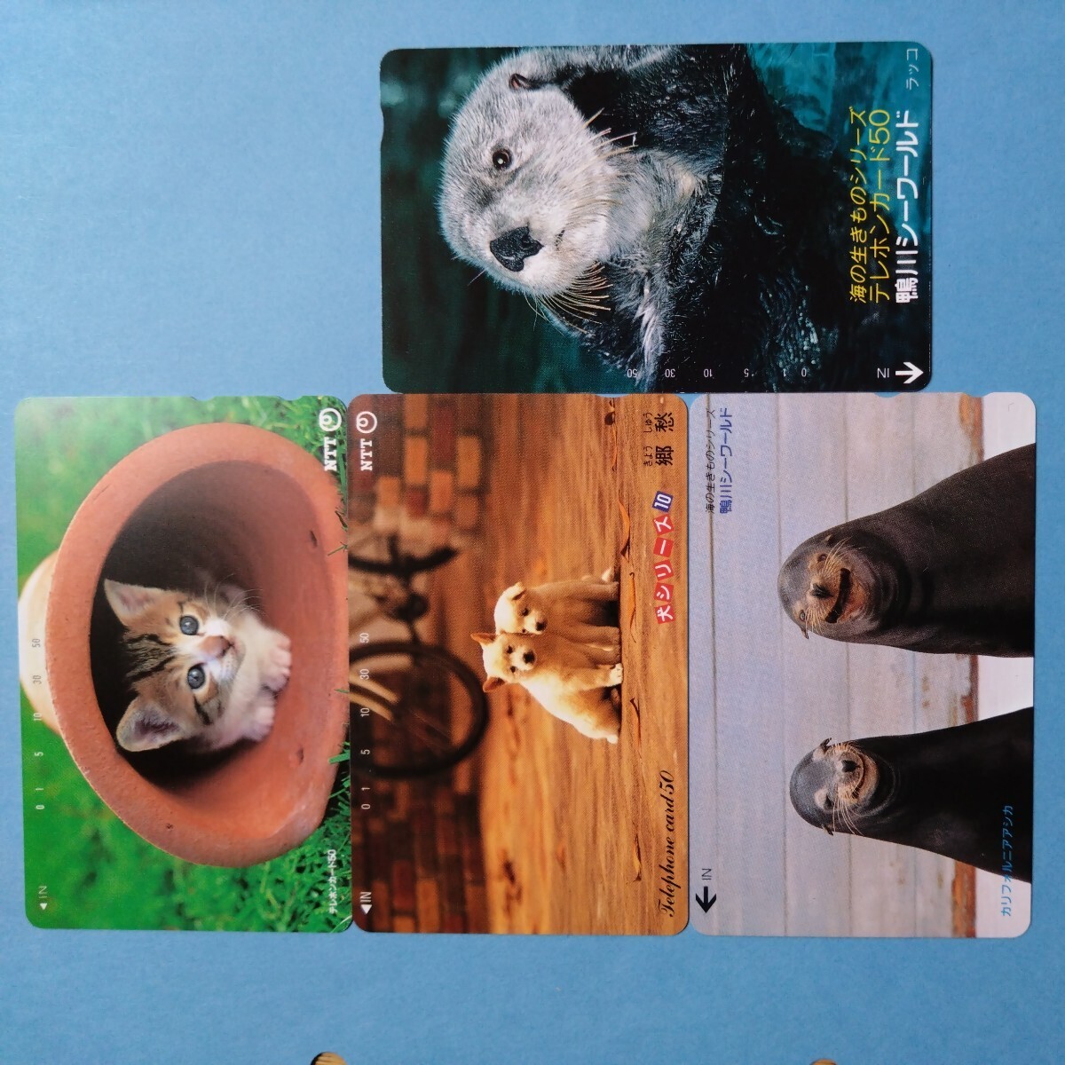 未使用テレホンカード 動物 105度数×2枚 50度数×4枚 NTT テレカの画像6