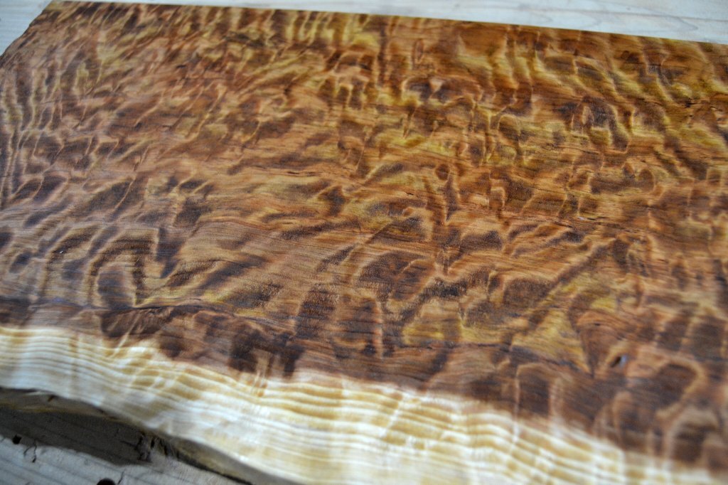 長45*幅22-23*厚1.5 杉1の木材木工材,一枚板自然木無垢材ＤＩＹ テーブル天板 スギの画像4
