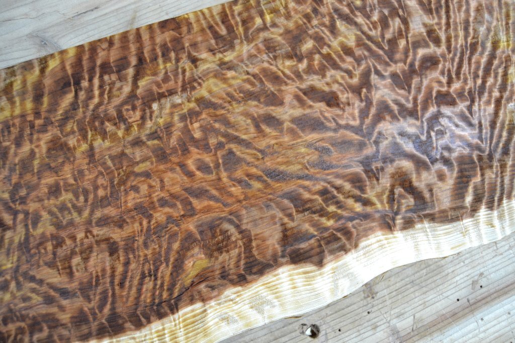 長45*幅22-23*厚1.5 杉1の木材木工材,一枚板自然木無垢材ＤＩＹ テーブル天板 スギの画像10