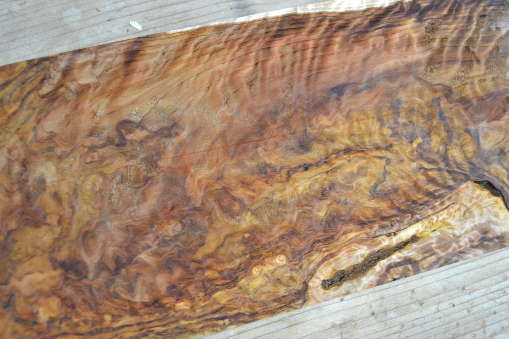 長33*幅15*厚1.5 杉14の木材木工材,一枚板送料安DIY花台銘木 杢 プレート 瘤の画像10