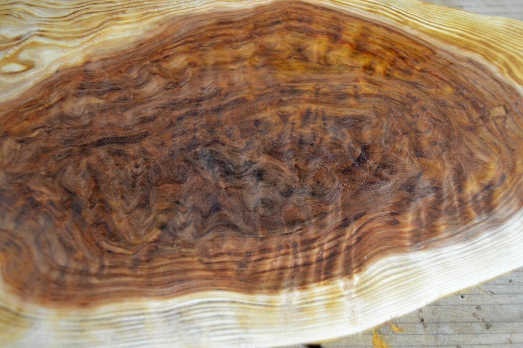 長33*幅-16*厚1.4　杉18の木材木工材,一枚板送料安DIY花台銘木　杢　プレート　瘤_画像9