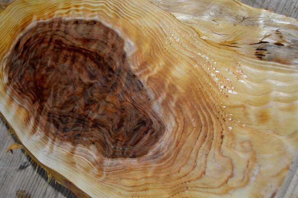 長33*幅-16*厚1.4　杉18の木材木工材,一枚板送料安DIY花台銘木　杢　プレート　瘤_画像3