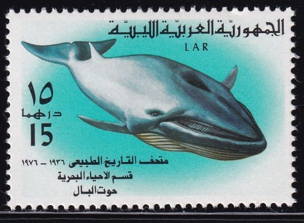 AK966 Libya 1976 Whale 1 из 6 типов наборов № 613