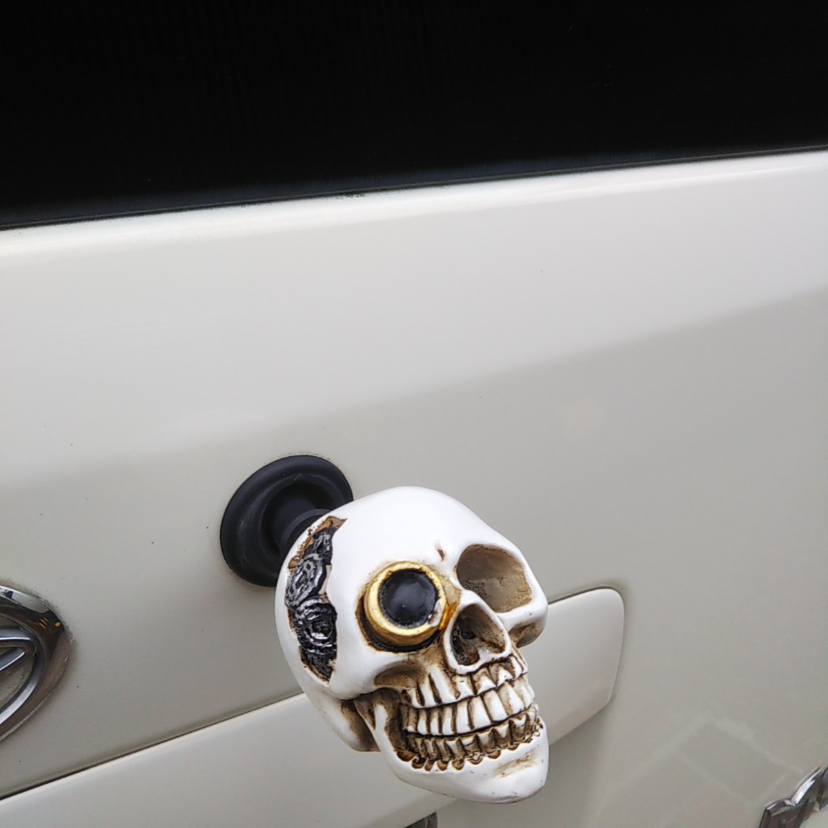  wiper * cap *6mm*gaikotsu* rear * Skull 