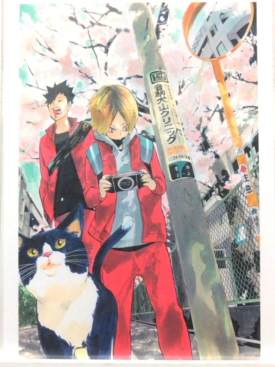 ハイキュー 原画展 ポストカード 孤爪研磨 黒尾鉄朗 ブロマイド ハイキュー 原画展 ポストカード 孤爪研磨 黒尾鉄朗 ブロマイド