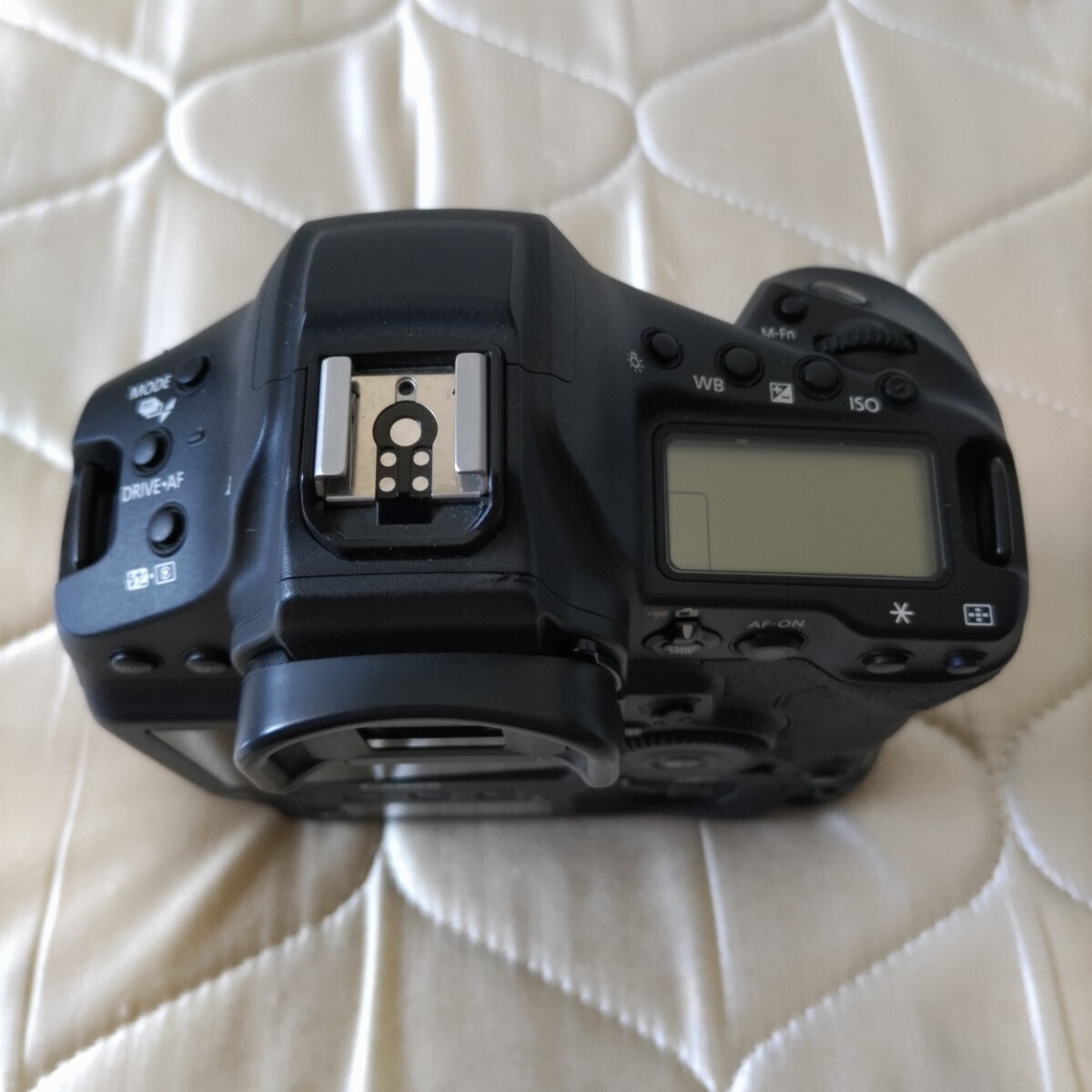  Canon EOS-1D X Mark III キヤノン 1DX Markⅲ シャッター回数45000以下 バッテリー2本付き(劣化無し)の画像2