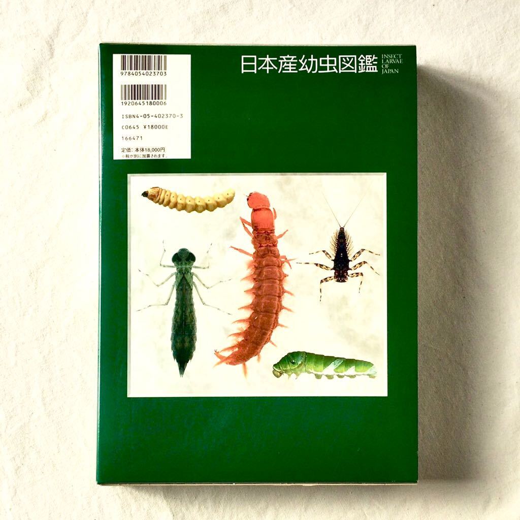  распроданный прекрасный товар Япония производство личинка иллюстрированная книга трудно найти редкий насекомое личинка иллюстрированная книга уличный вне .( жесткий чехол ) есть . ввод Gakken 