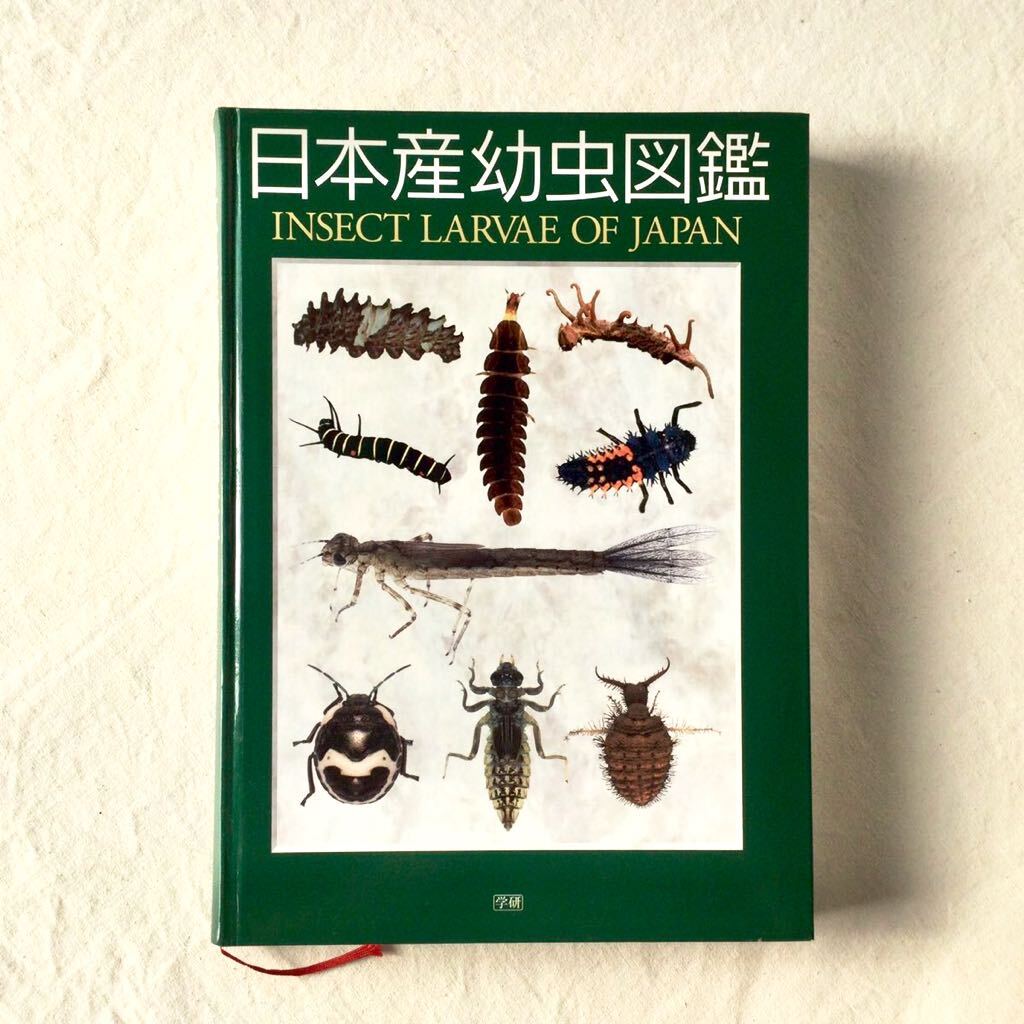  распроданный прекрасный товар Япония производство личинка иллюстрированная книга трудно найти редкий насекомое личинка иллюстрированная книга уличный вне .( жесткий чехол ) есть . ввод Gakken 