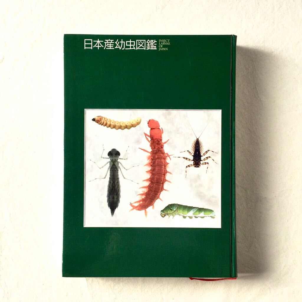  out of print beautiful goods Japan production larva illustrated reference book hard-to-find rare insect larva illustrated reference book outdoor out .( hard cover ) attaching . entering Gakken 