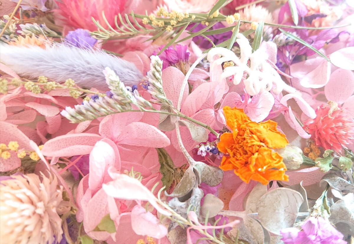 ☆Bouquet de minuit＊花材＊ヘッド＊詰合せ＊ミニ薔薇＊色々＊ハーバリウムなどの作品づくりに＊sale1円～☆の画像6