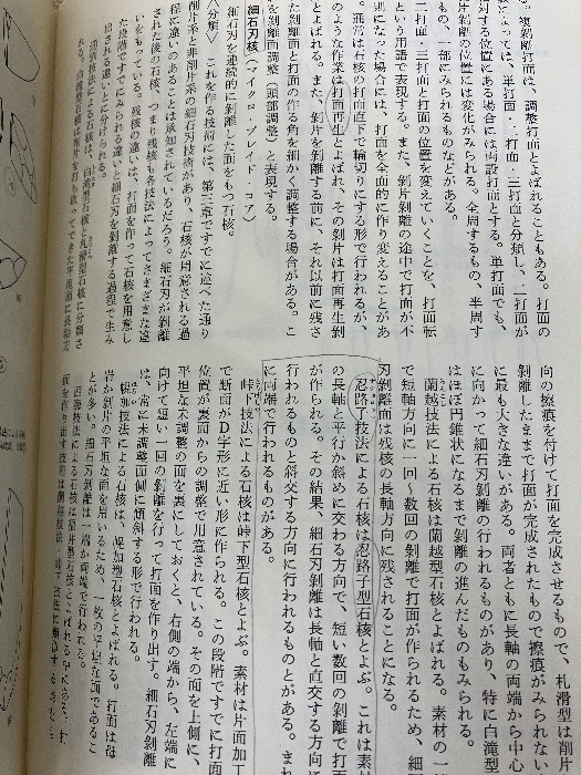 図録・石器入門事典 先土器 新装版 柏書房 加藤 晋平_画像6