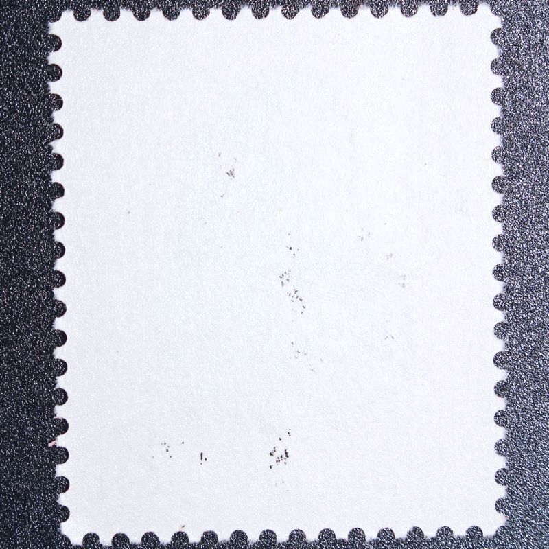 1■ 未使用 中国切手 T46 赤猿 申 子ザル 1980年 年賀切手 8分 赤ザル 赤サル 子猿の画像4