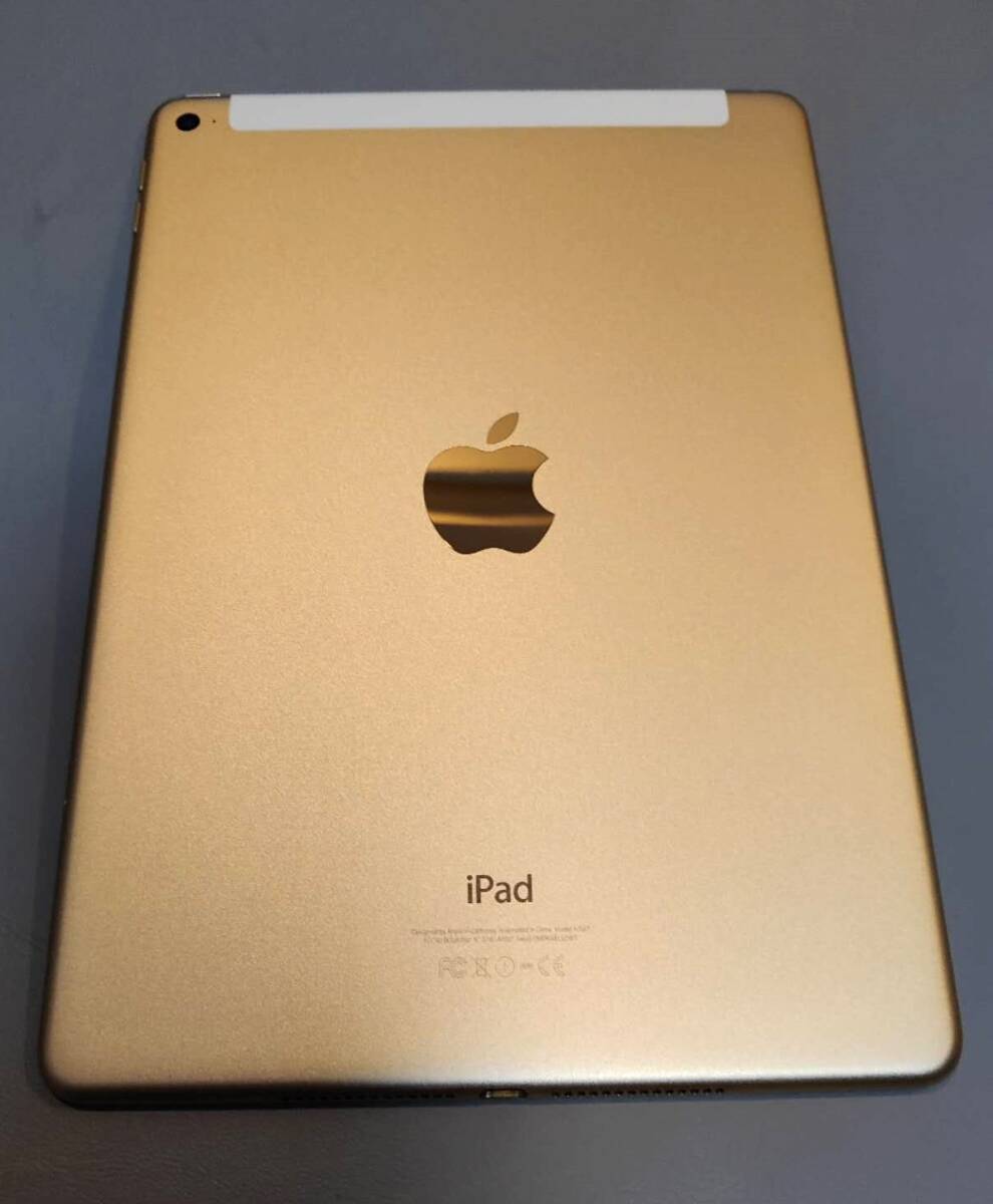 SIM フリータイプ iPad・ゴールド・ A1567_画像2