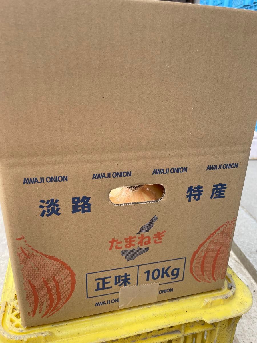 [農家直送]送料無料 淡路島産 新玉ねぎ  七宝早生  10kg 秀品 残りわずか！