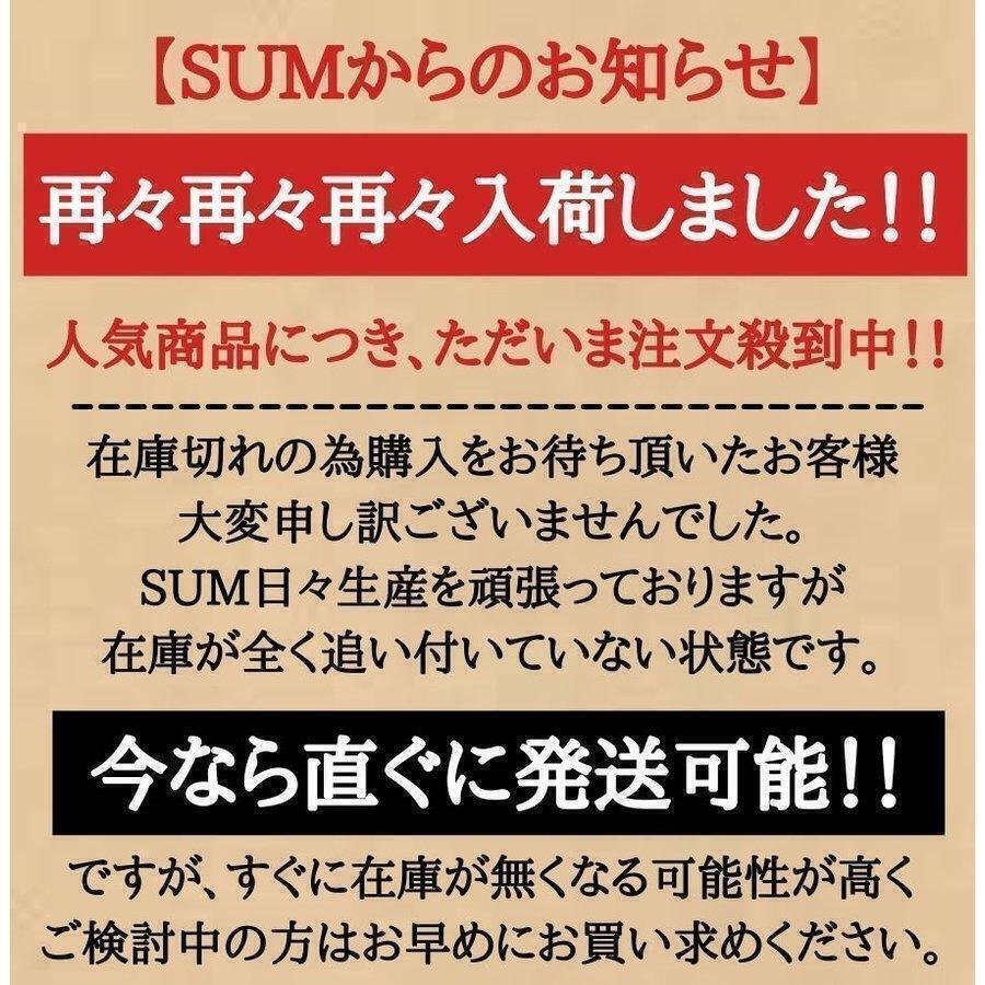 タオル セームタオル スイムタオル スカイ スイミング 水泳 タオル 洗車 超吸収 速乾 スポンジ フェイスタオル ショートタオル 送料無料の画像3