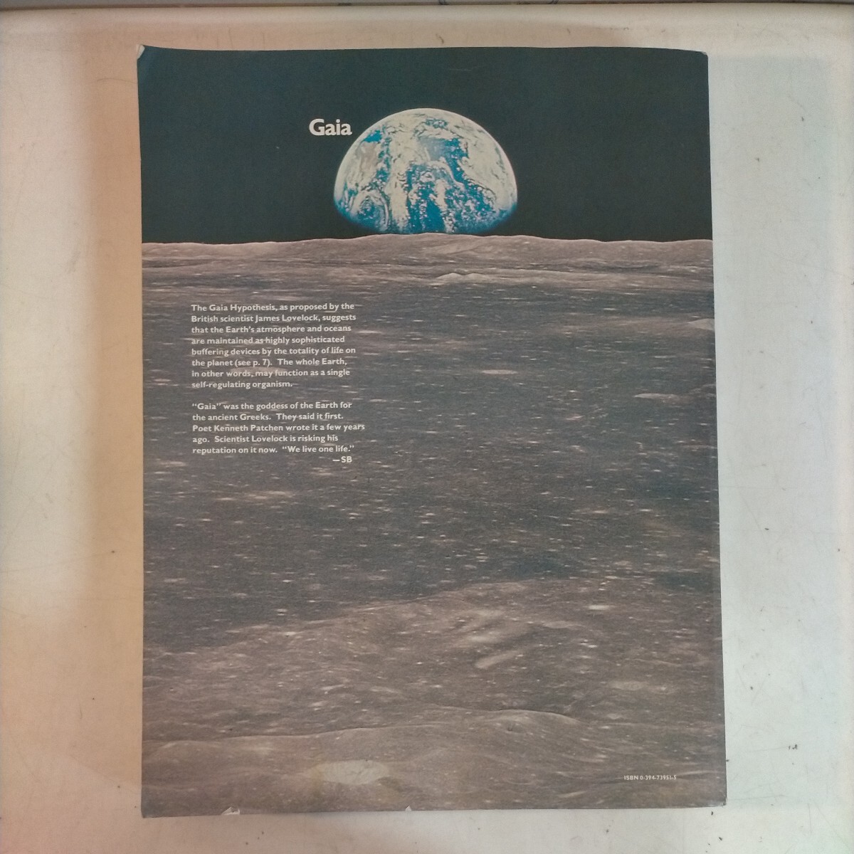 The Next Whole Earth Catalog 1980年 ホール・アース・カタログ〇古本/全体的に経年による傷みスレヤケシミ破れ欠損/状態追記参照↓の画像2