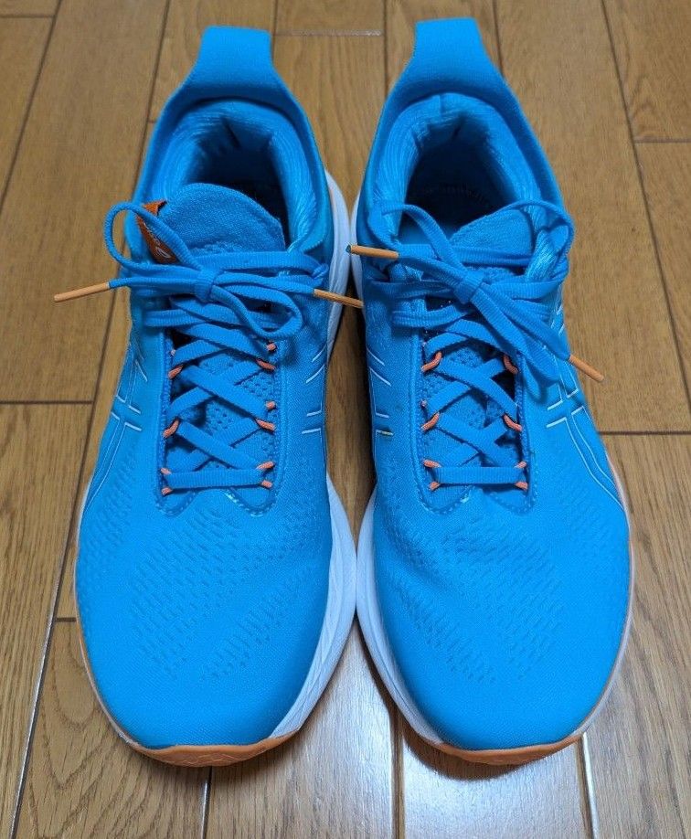 アシックス GEL-NIMBUS 25 27 5cm ゲルニンバス25 ASICS アシックス GEL-NIMBUS 25 27 5cm ゲルニンバス25 ASICS